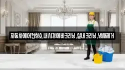 자동차에어컨청소,내시경에바크리닝,실내크리닝,냄새제거