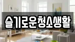 슬기로운청소생활