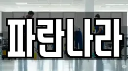 파란나라