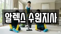 알렉스 수원지사