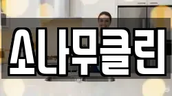 소나무클린