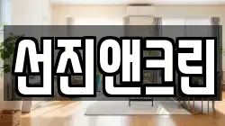 선진앤크린