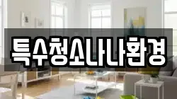 특수청소나나환경