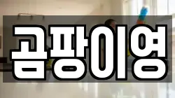 곰팡이영