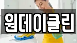 원데이클린