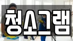 청소그램