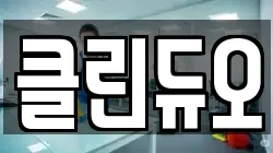 클린듀오