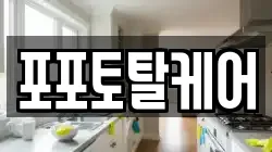 포포토탈케어