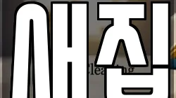 새집