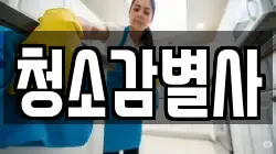 청소감별사