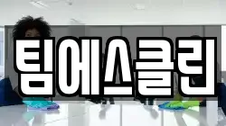 팀에스클린