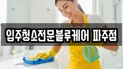 입주청소전문블루케어 파주점