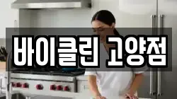 바이클린 고양점