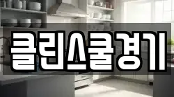 클린스쿨경기