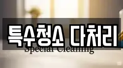 특수청소 다처리