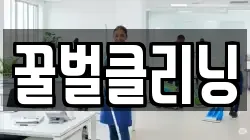 꿀벌클리닝