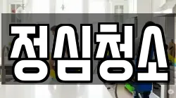 정심청소