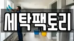 세탁팩토리