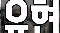 유현