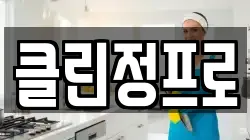 클린정프로