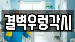 결벽우렁각시