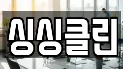 싱싱클린