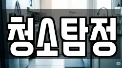 청소탐정