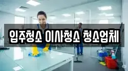 입주청소 이사청소 청소업체