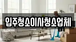 입주청소이사청소업체