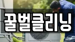 꿀벌클리닝