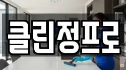 클린정프로