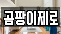 곰팡이제로
