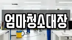 엄마청소대장