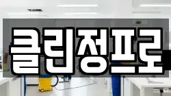 클린정프로