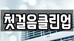 첫걸음클린업