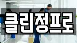 클린정프로