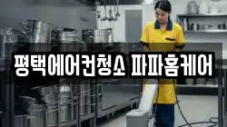평택에어컨청소 파파홈케어