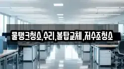 경기 포천시 이동면 청소,입주청소,사무실청소,에어컨청소,특수청소,상가청소,거주청소,유품정리