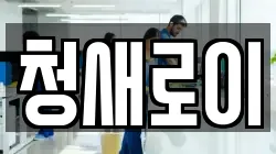 청새로이