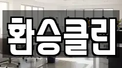 환승클린