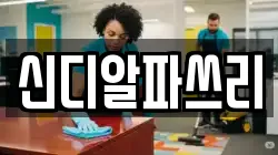 신디알파쓰리
