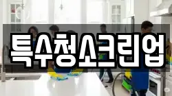 특수청소크린업