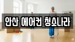 안산 에어컨 청소나라