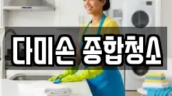 다미손 종합청소