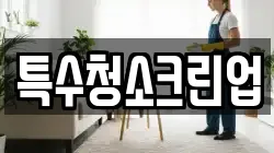 특수청소크린업
