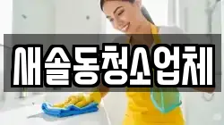 새솔동청소업체