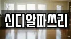 신디알파쓰리