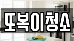 또복이청소