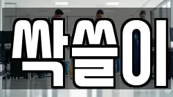 싹쓸이