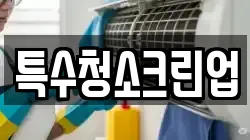 특수청소크린업
